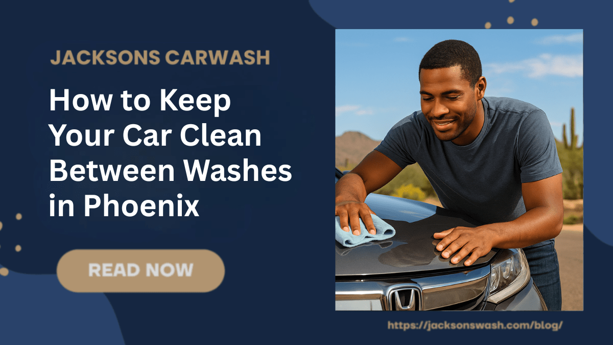 Guy cleaning his car
