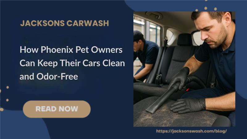 A person vacuuming the seat of a car