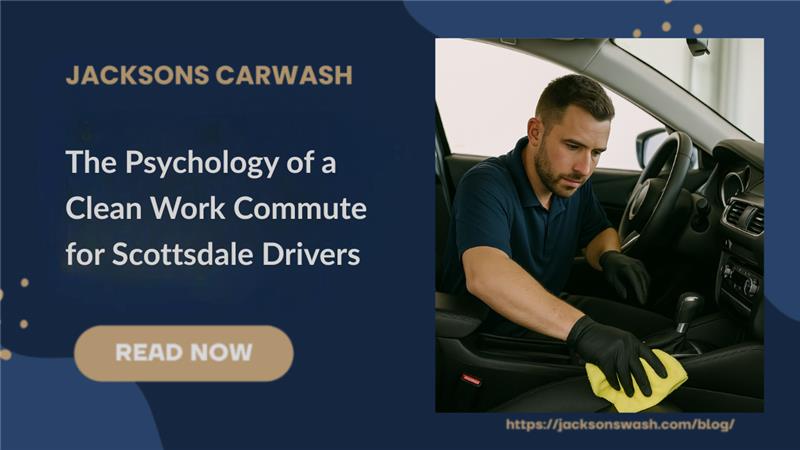 A person cleaning a car